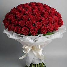 Букет 101 Красная роза Блэк Мэджик в Юбилейном