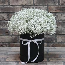 Цветочная композиция из Гипсофила в шляпной коробке в Юбилейном